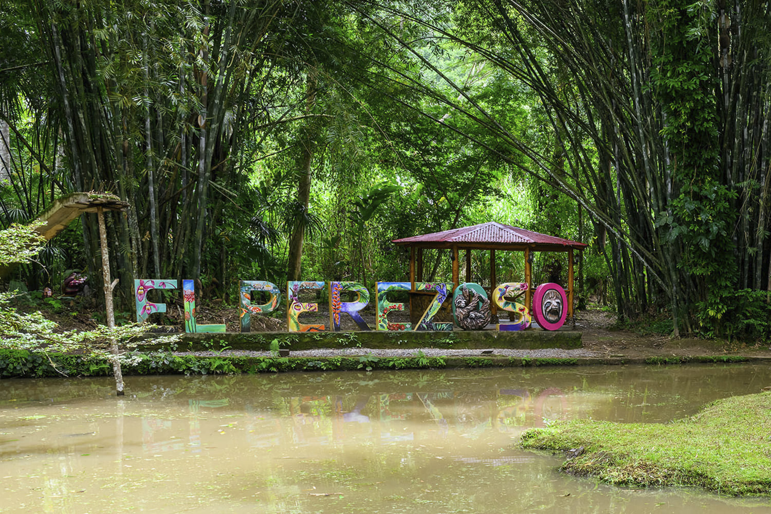 Imagen 10